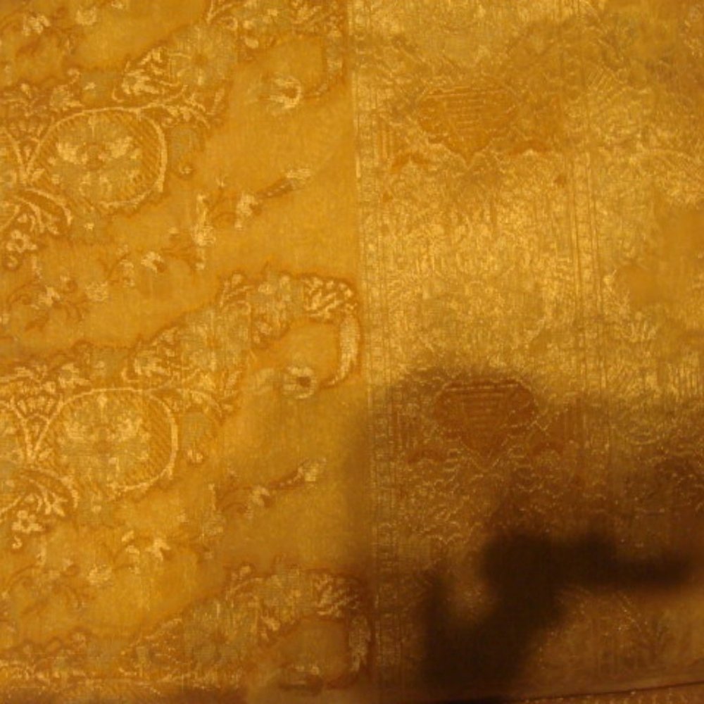 New Gold Saree with beautiful print